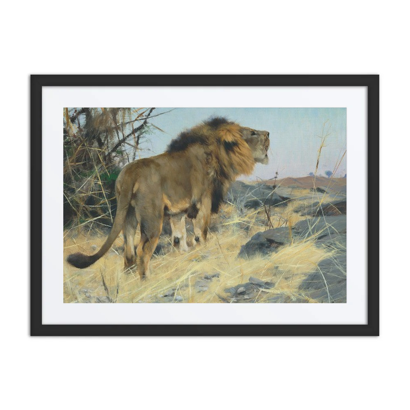 Roaring Lion