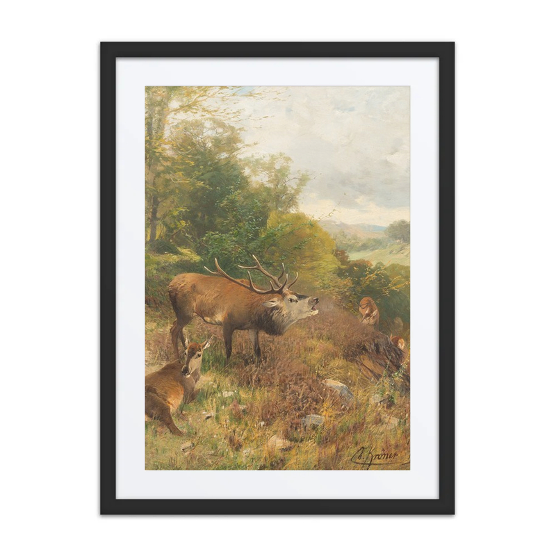 Roaring Stag