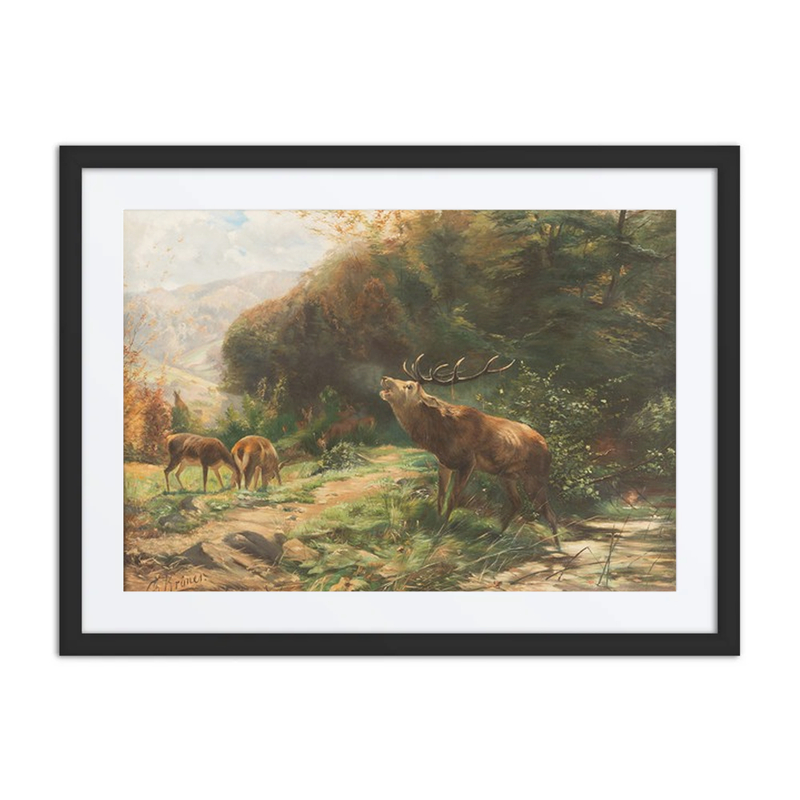 Roaring Stag