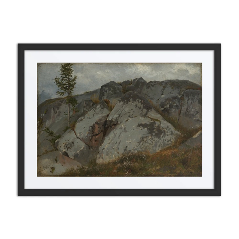 Rock Blocks with a Small Pine Tree