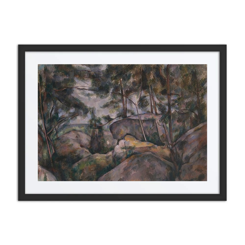 Rocks in the Forest