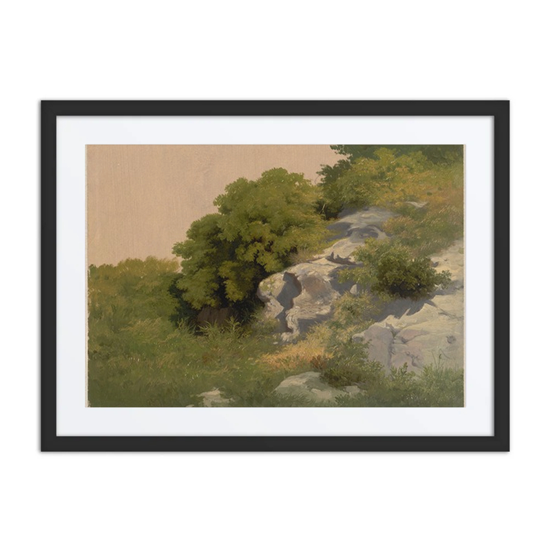 Rocks Overgrown with Lush Vegetation