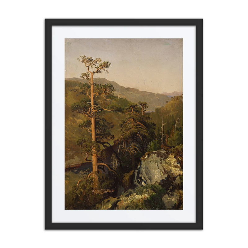 Rocky Landscape with Pinetrees