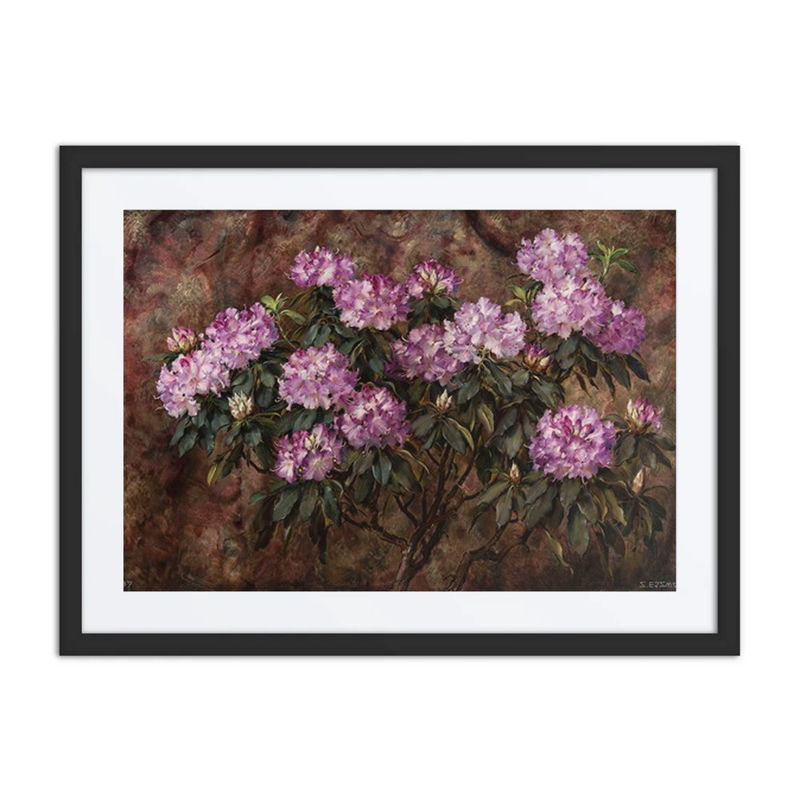 Rododendrony