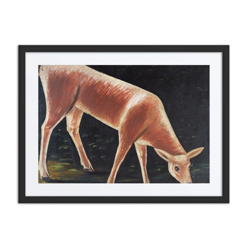 Roe Deer Drinking from a Stream