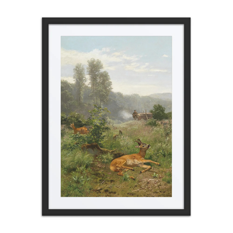 Roe Deer Hunt
