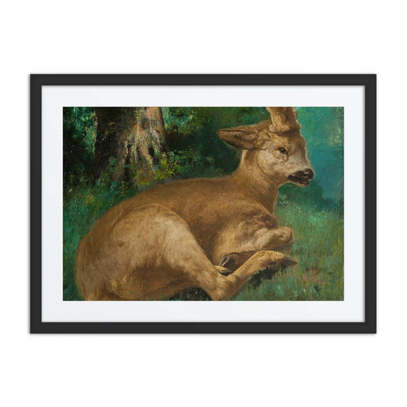 Roebuck