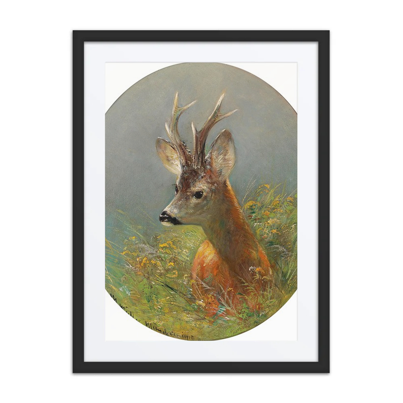 Roebuck in Tall Grass