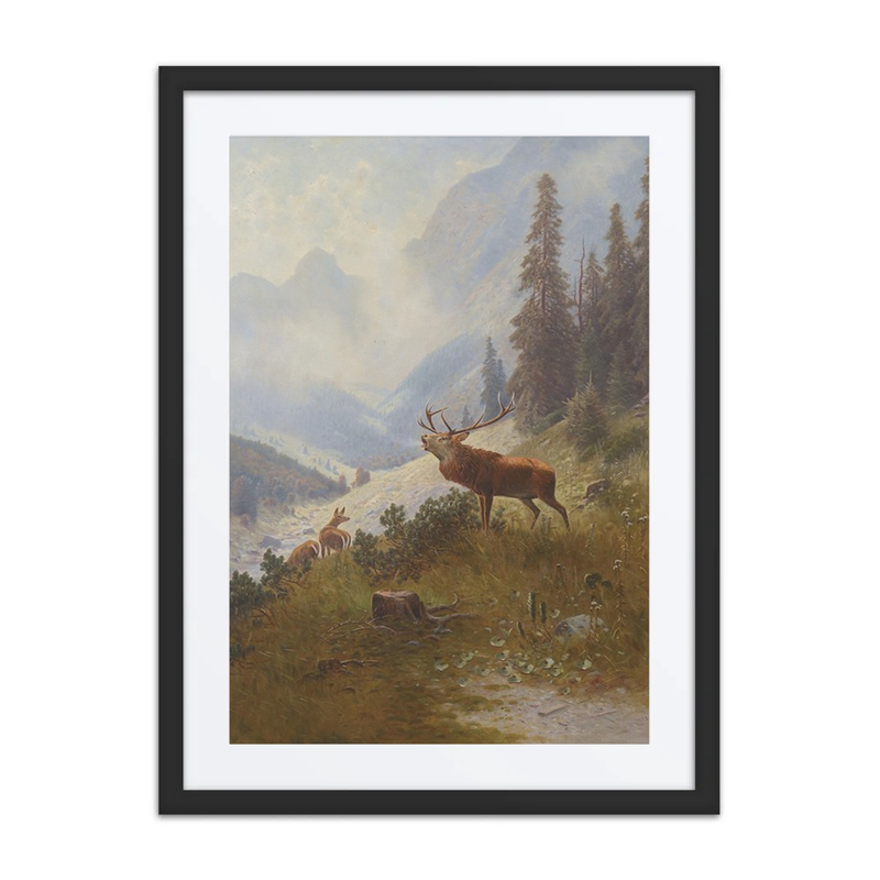 Röhrender Hirsch Im Gebirge