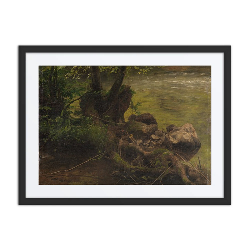 Roots and Stones by the Stream