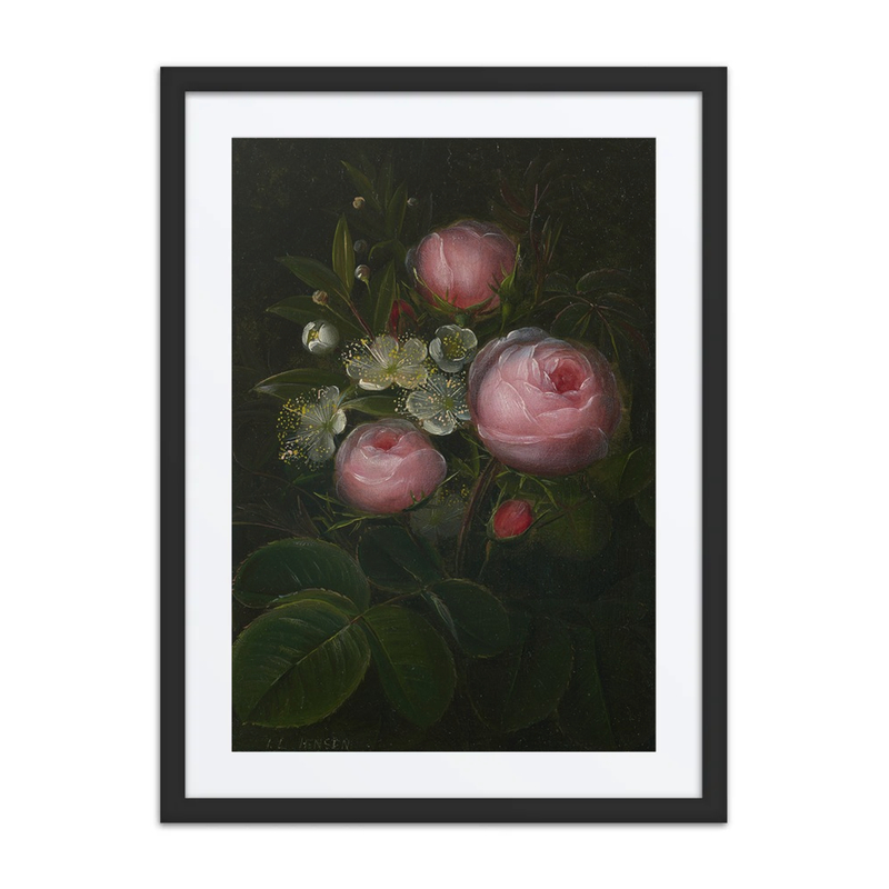 Roser Og Blomstrende Myrther