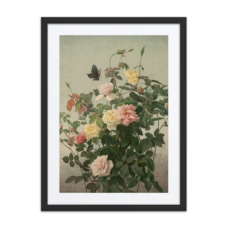 Roses