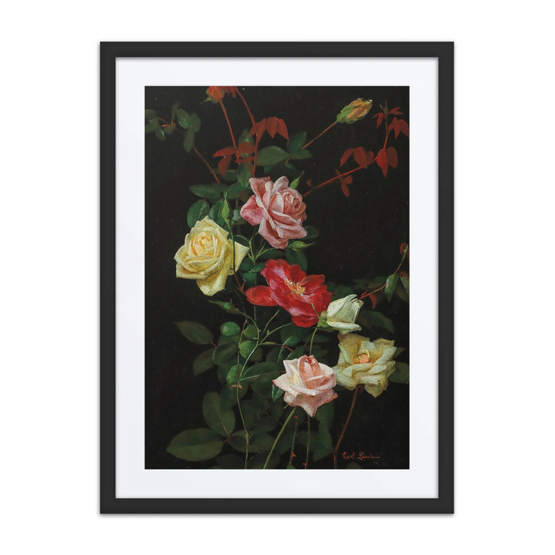 Roses