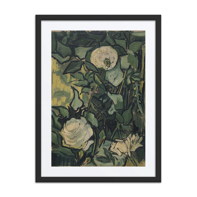 Roses