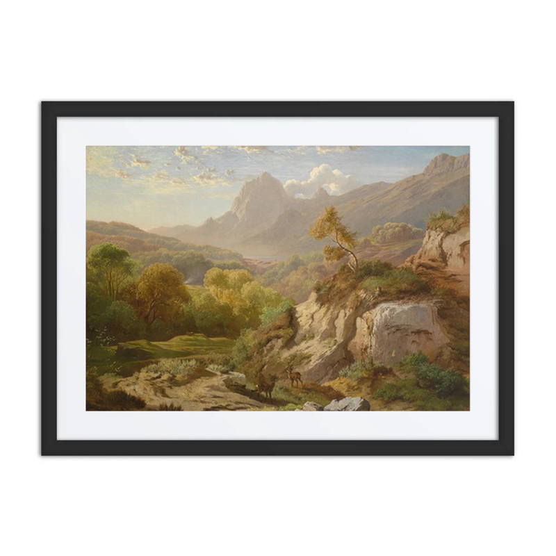 Rotwild in Einer Weiten Gebirgslandschaft