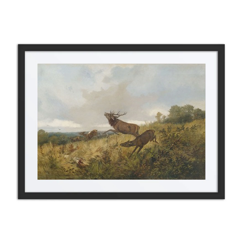 Rotwild in Herbstlicher Landschaft