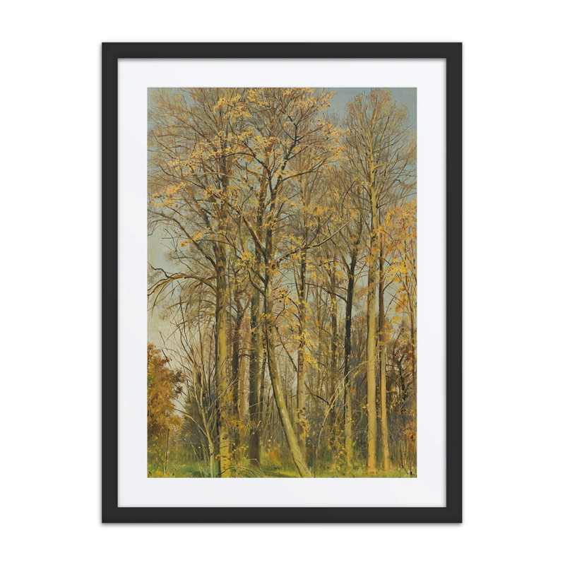 Rowan Trees in Autumn