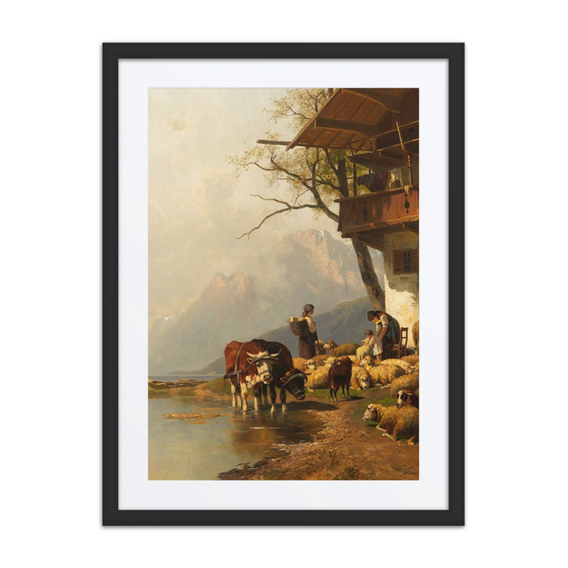 Ruhende Schafsherde Vor Dem Haus Am Bergssee