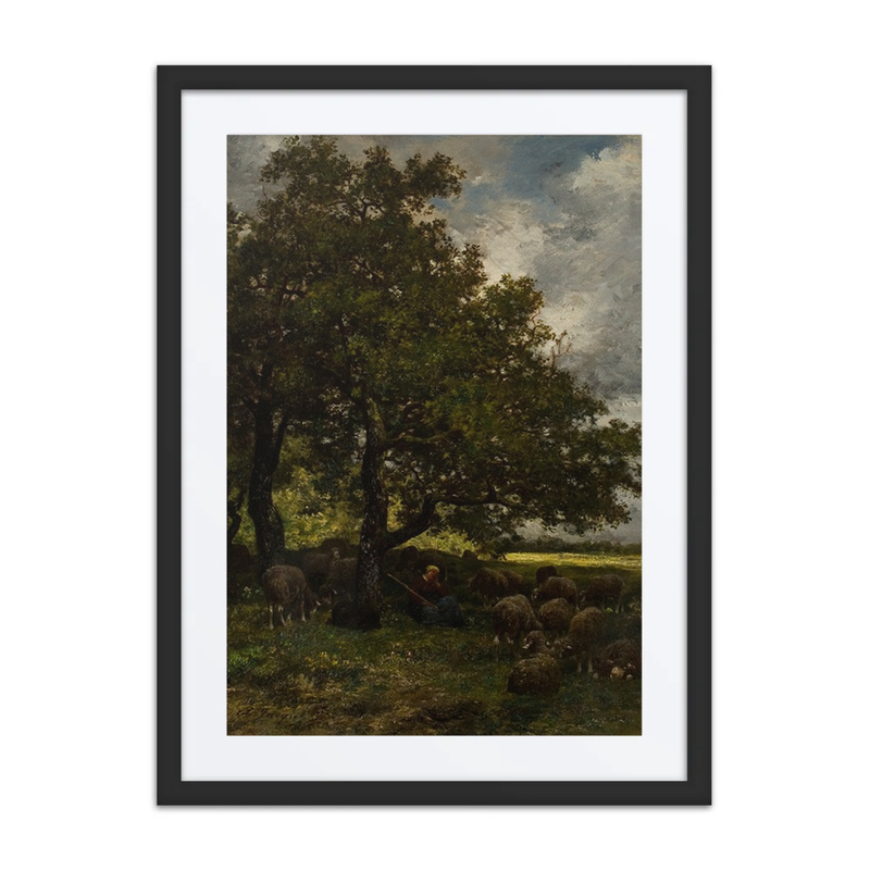 Rural Landscape