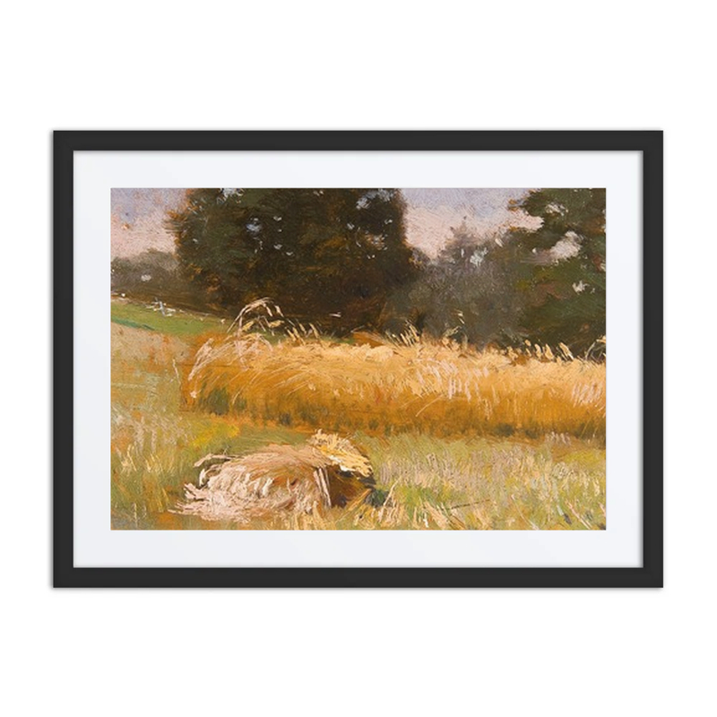 Rye Field