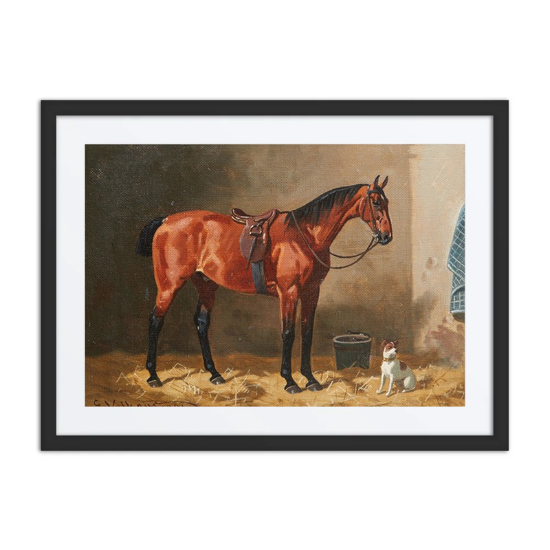 Saddled Bay Horse in Stable with a Dog