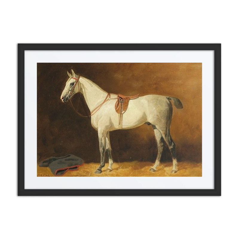 Saddled Grey Horse in Stable