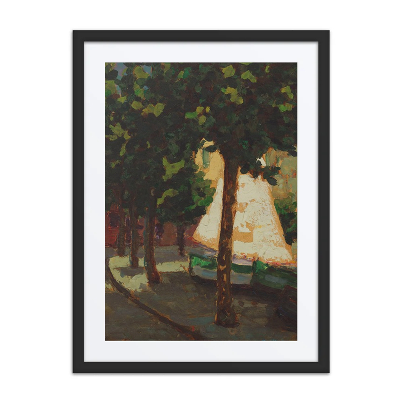 Sail and Platanus Trees