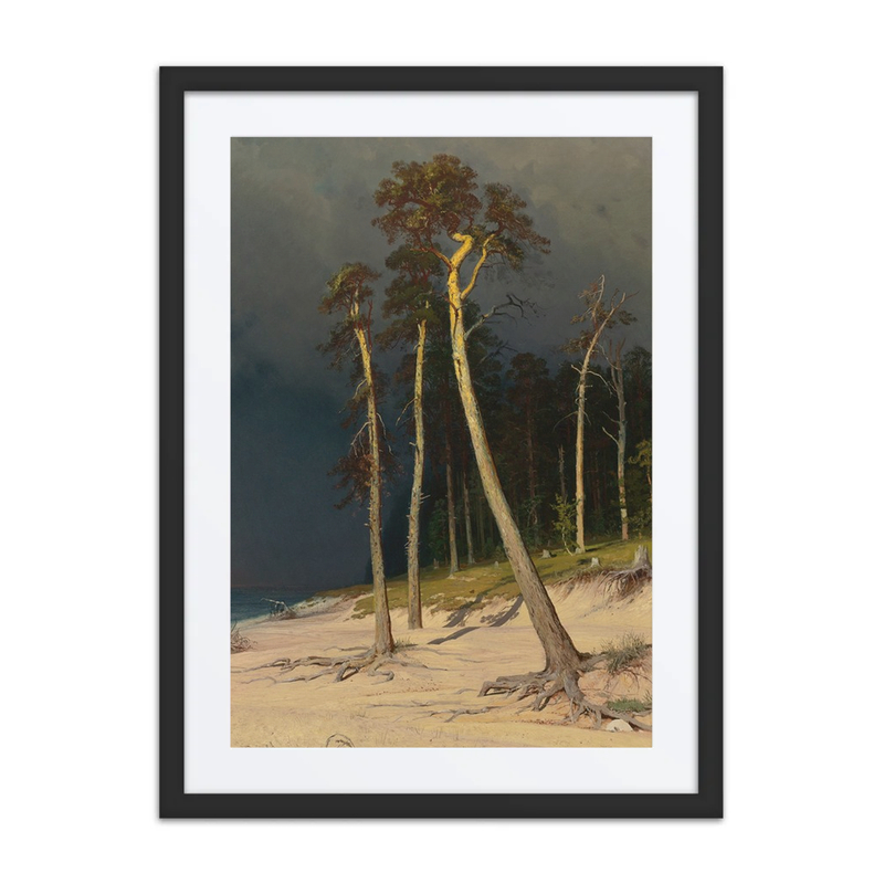 Sandy Coastline