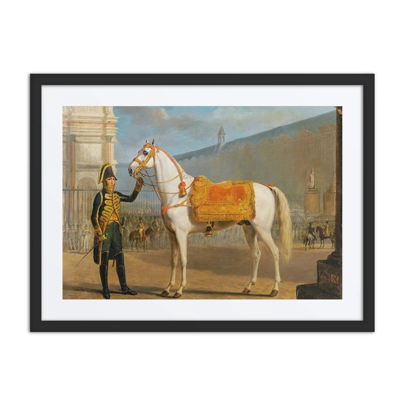 Sara, napoleon’s Horse