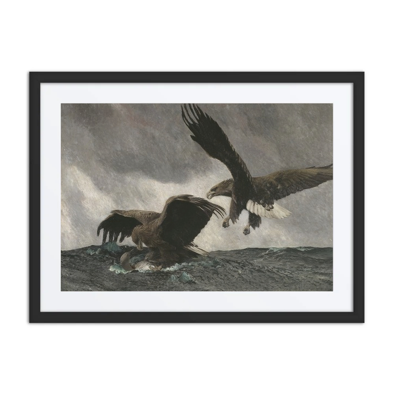 Sea Eagles