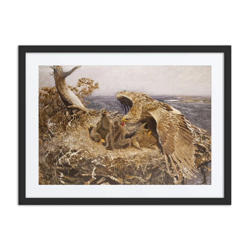 Sea eagle’s Nest