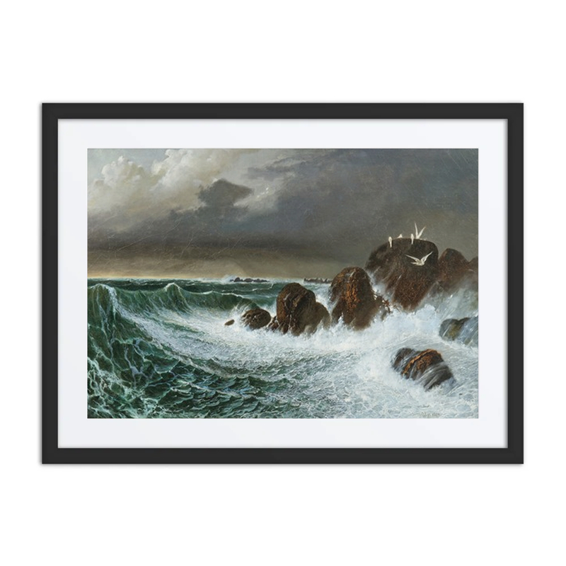 Seagulls in a Storm