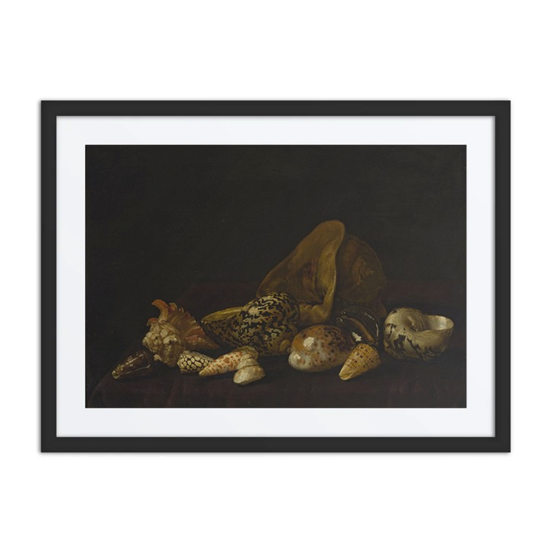 Seashells on a Dark Tapestry