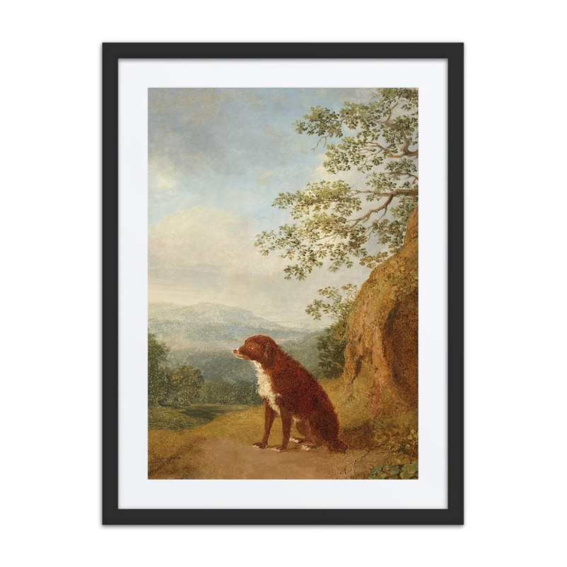 Seated Dog in a Landscape