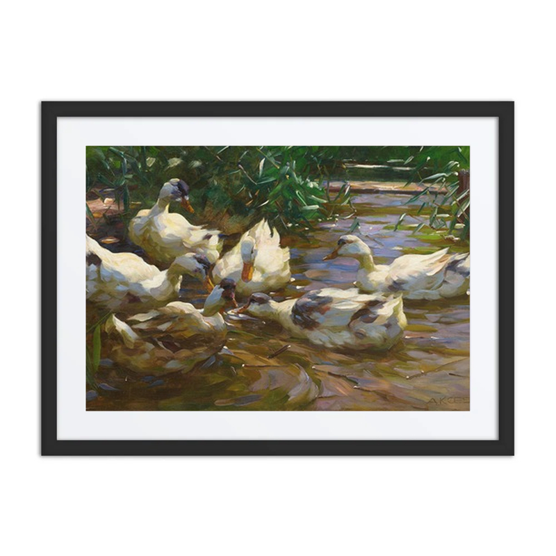 Sechs Enten in Blauem Schilfwasser