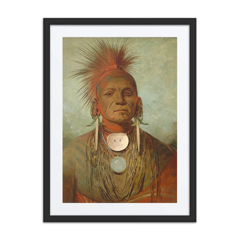 See-Non-Ty-A, an Iowa Medicine Man