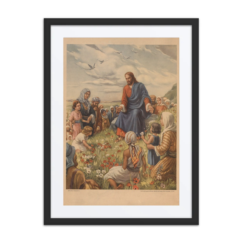 See the Lilies of the Field