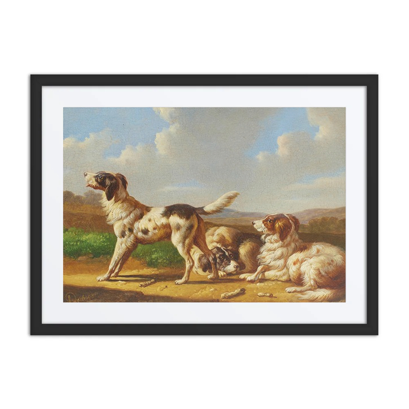 Setters in a Landscape
