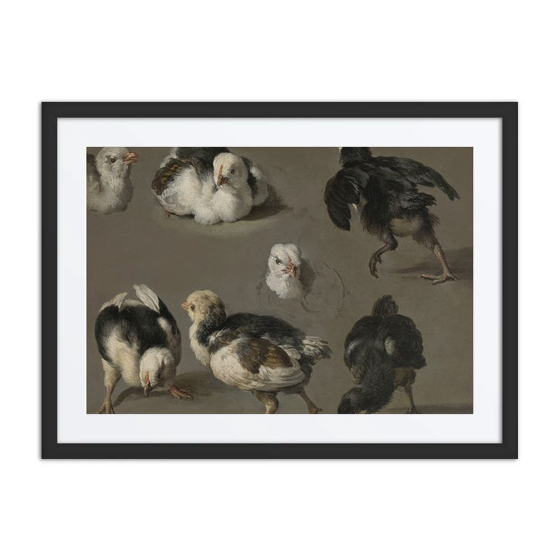 Seven Chicks