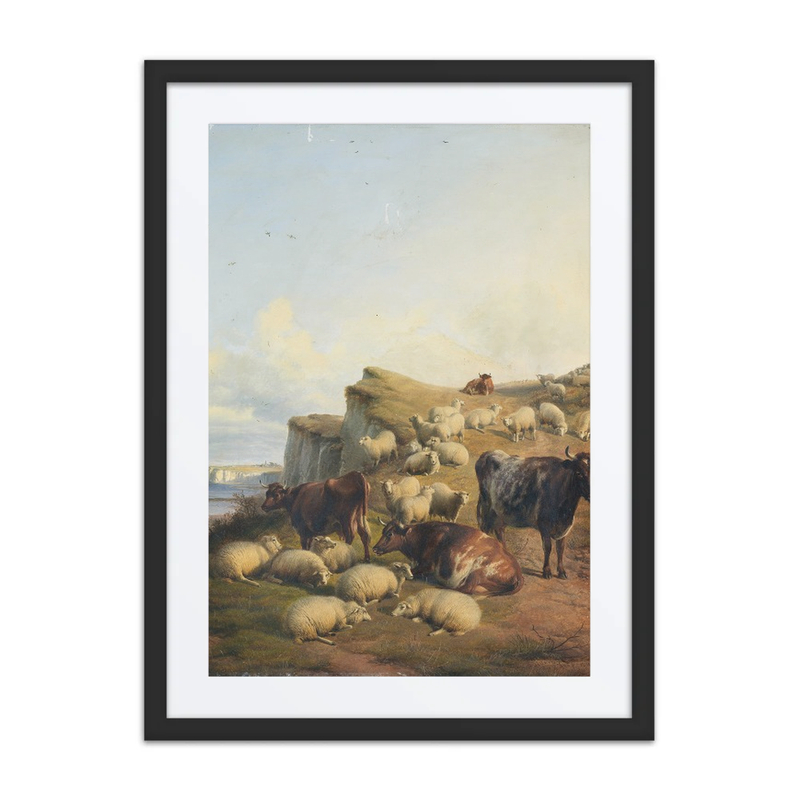 Sheep and Cattle on a Cliff