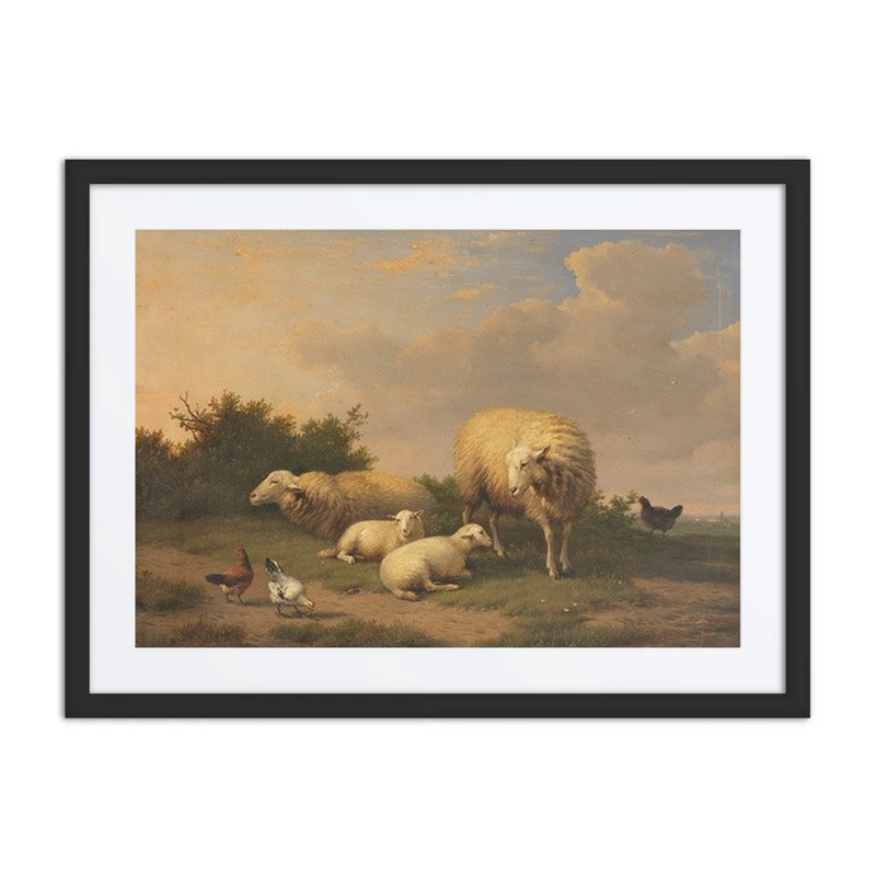 Sheep and Lambs