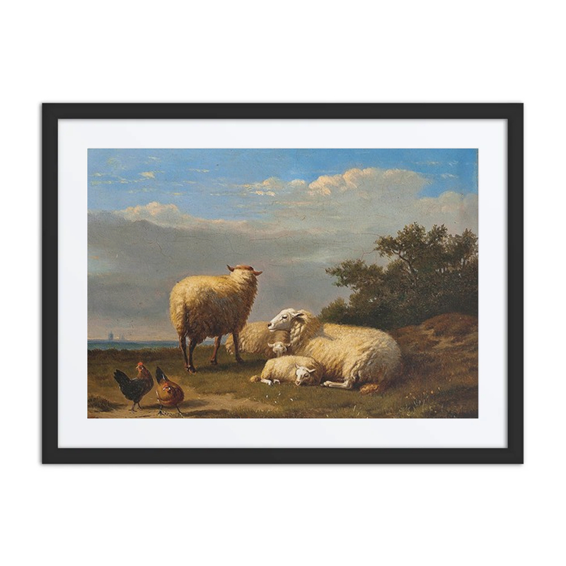 Sheep and Poultry in Pasture