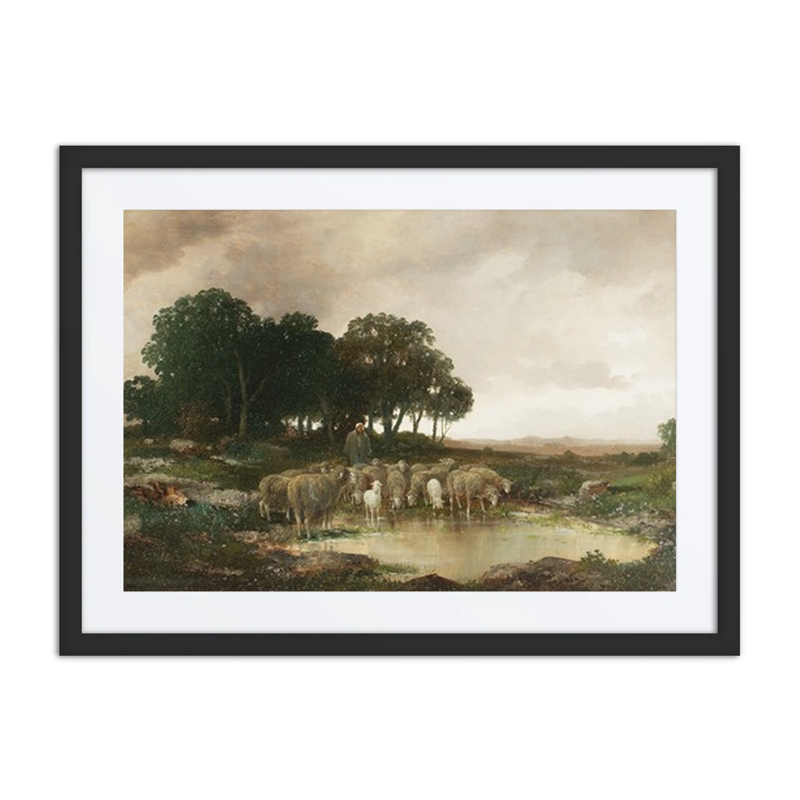 Sheep at the Watering Hole