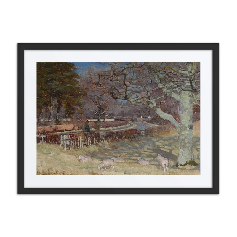 Sheep by a Sun Dappled Road