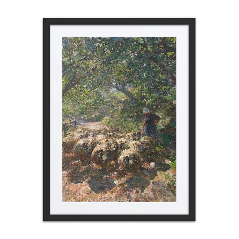Sheep Flock with Shepherdess in Shaded Hollow Way