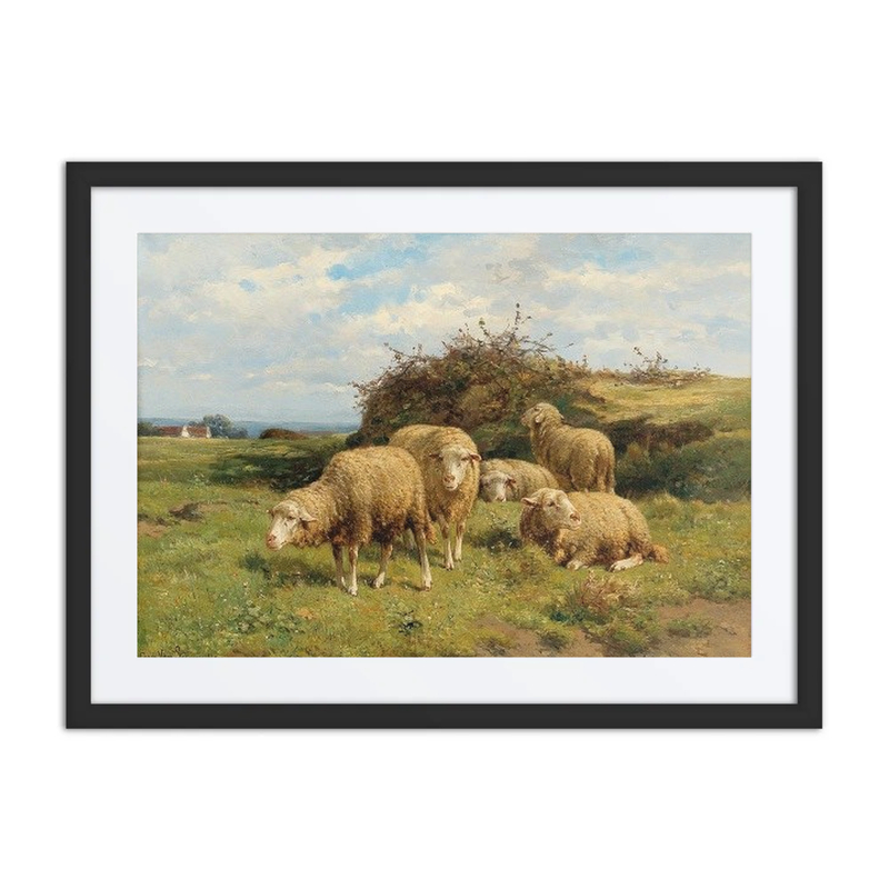 Sheep in a Meadow