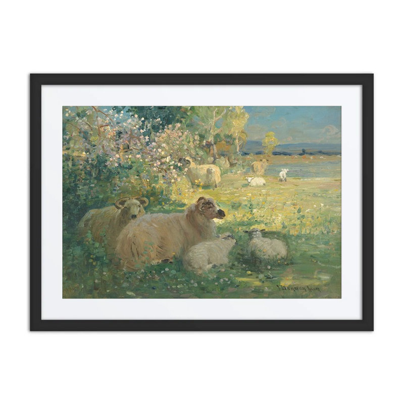 Sheep in a Meadow