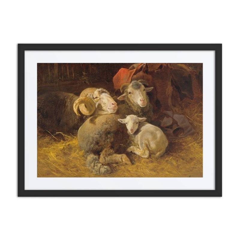 Sheep in the Stable