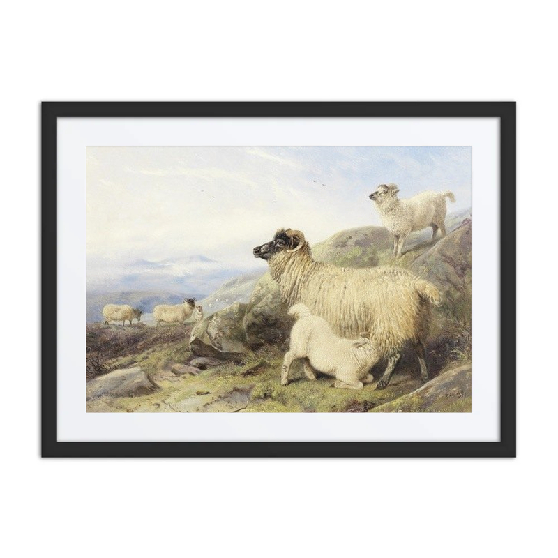 Sheep on a Mountainside