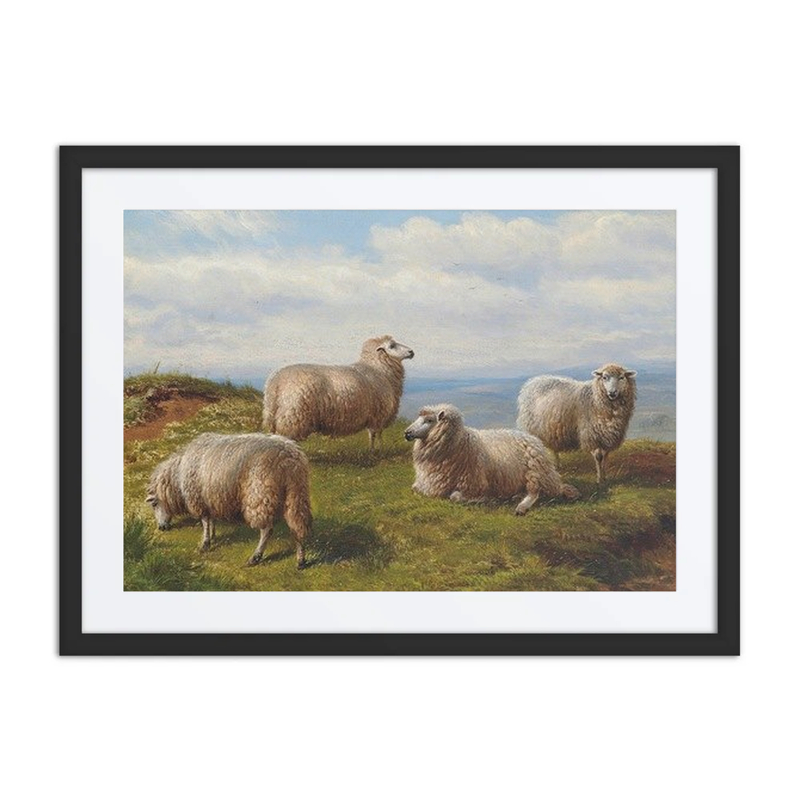 Sheep on the Hill